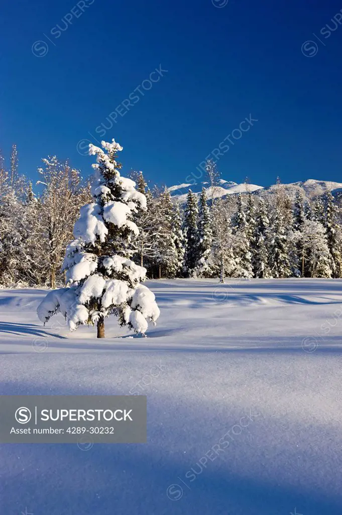 Snow covered meadow at Artic Valley Golf course near Anchorage, Alaska