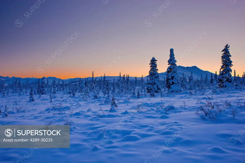 The Chugach Mountains at sunset, snow covered spruce trees, winter, Glenn Highway, Southcentral Alaska