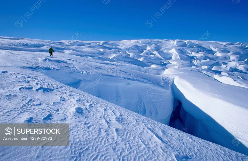 Man Standing Near Crevasses on Beloit Glacier KP