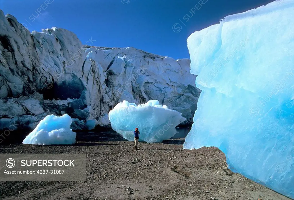 Person photographing iceberg near Reid Glacier in Glacier Bay National Park in Southeast Alaska during Summer