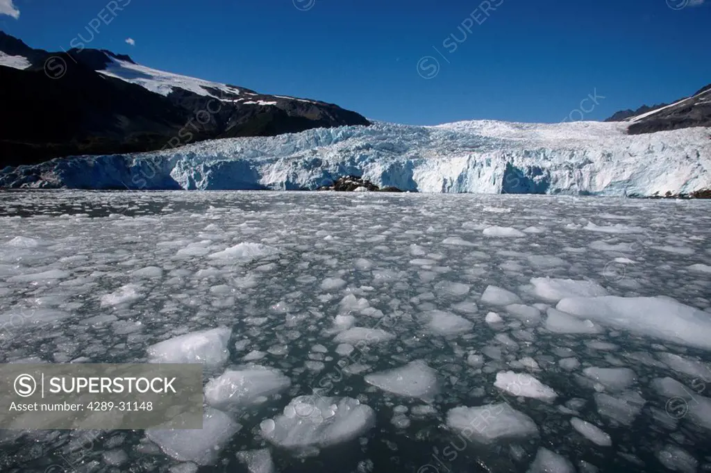Ice floe in Front of Aialik Glacier Aialik Bay KP AK Summer Kenai Fjords NP