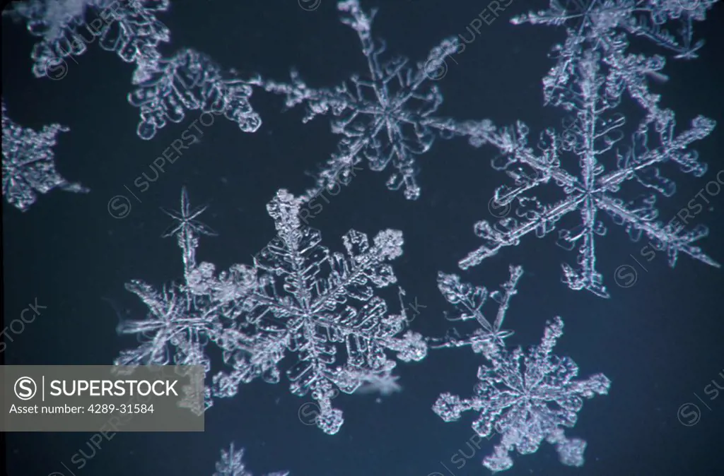 Frost Crystal on Glass Kodiak Isl Southwest AK winter detail