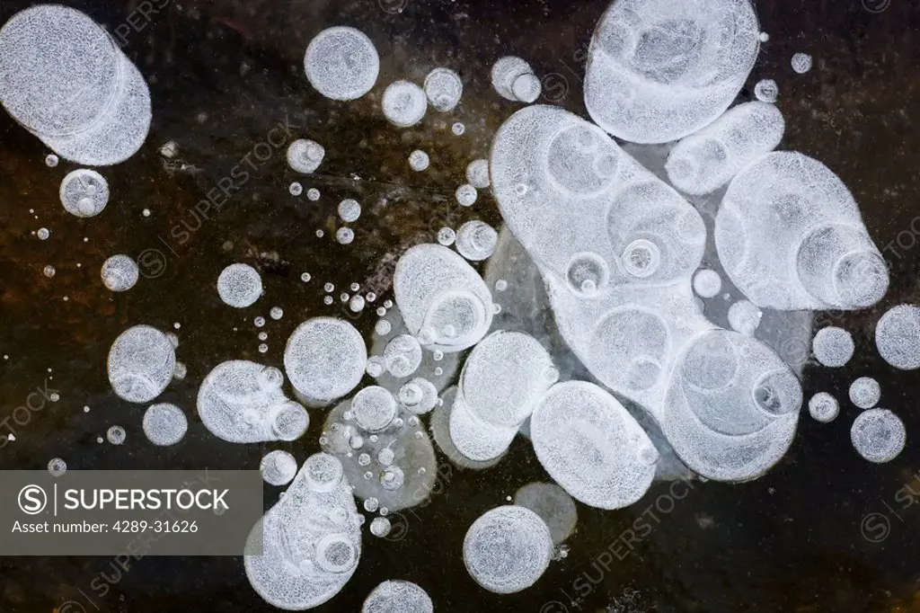 Ice bubbles formed in clear ice at Potter Marsh, Southcentral Alaska