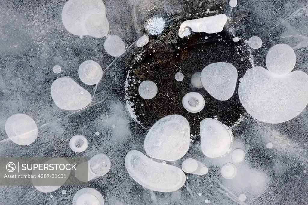 Ice bubbles formed in clear ice at Potter Marsh, Southcentral Alaska