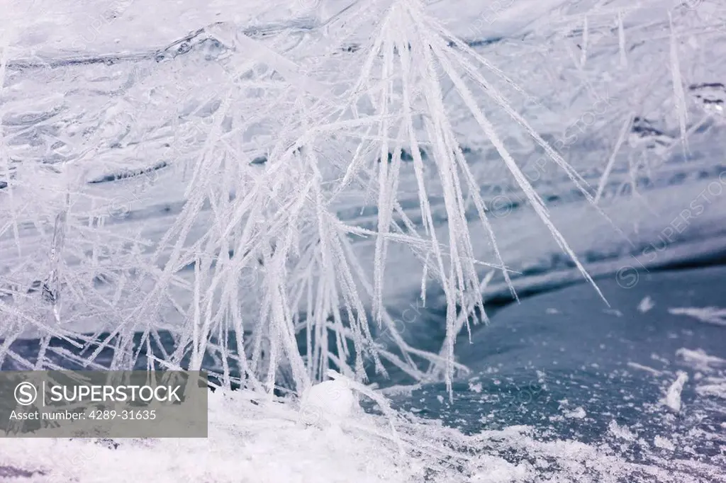 Fine needles of ice crystals form in below zero temperatures, Alaska