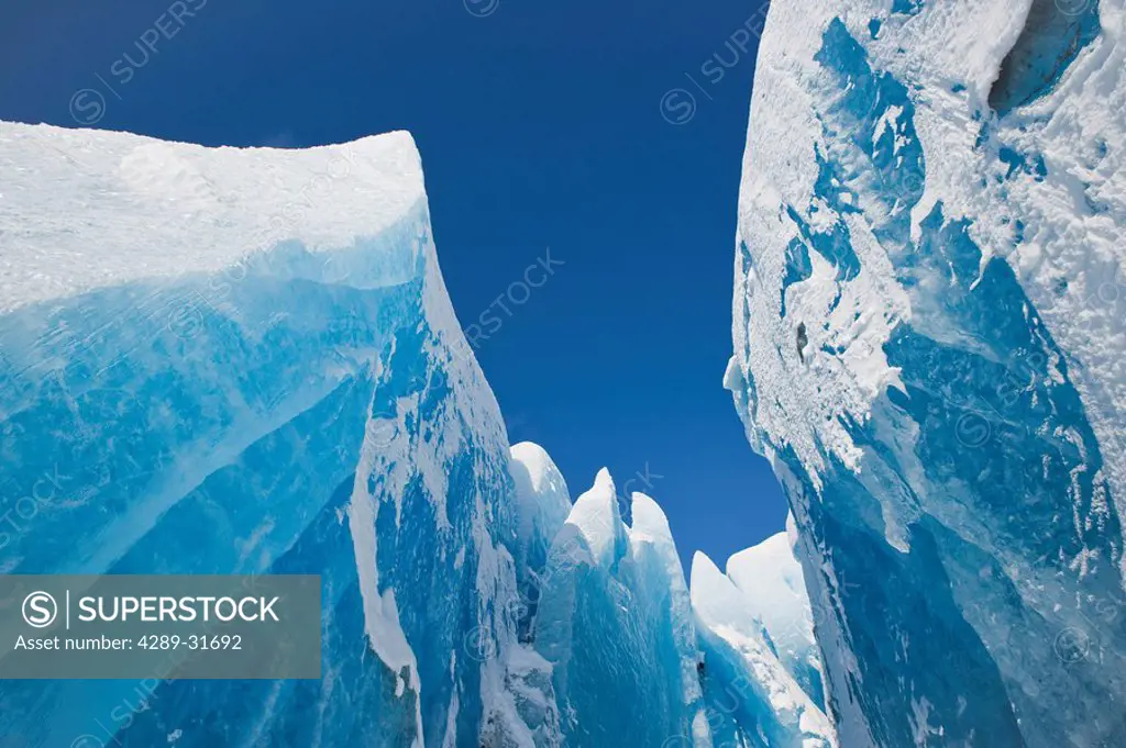Towers of ice_ seracs, dominate the terminus of Mendenhall Glacier in Mendenhall Lake, Tongass Forest, Juneau, Alaska.