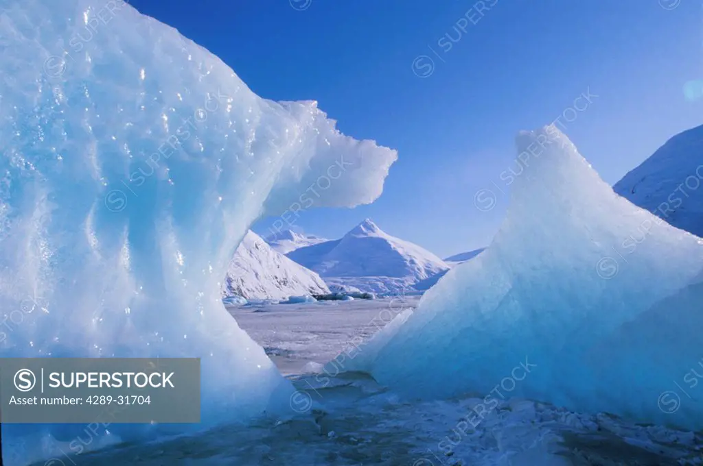 Icebergs on Portage LK Bard Peak Portage Glacier SC AK