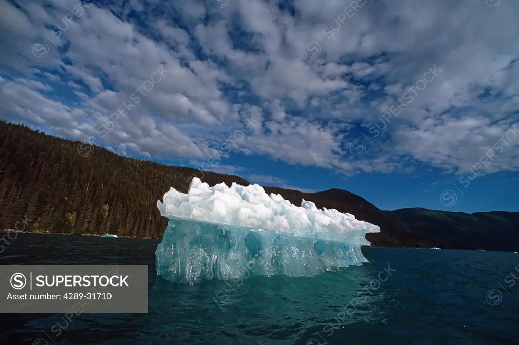 Icebergs Floating in Tracy Arm SE Alaska Summer
