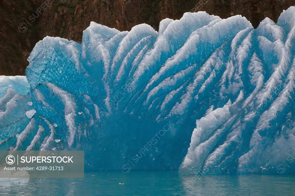 Iceberg in Tracy Arm SE Alaska Summer