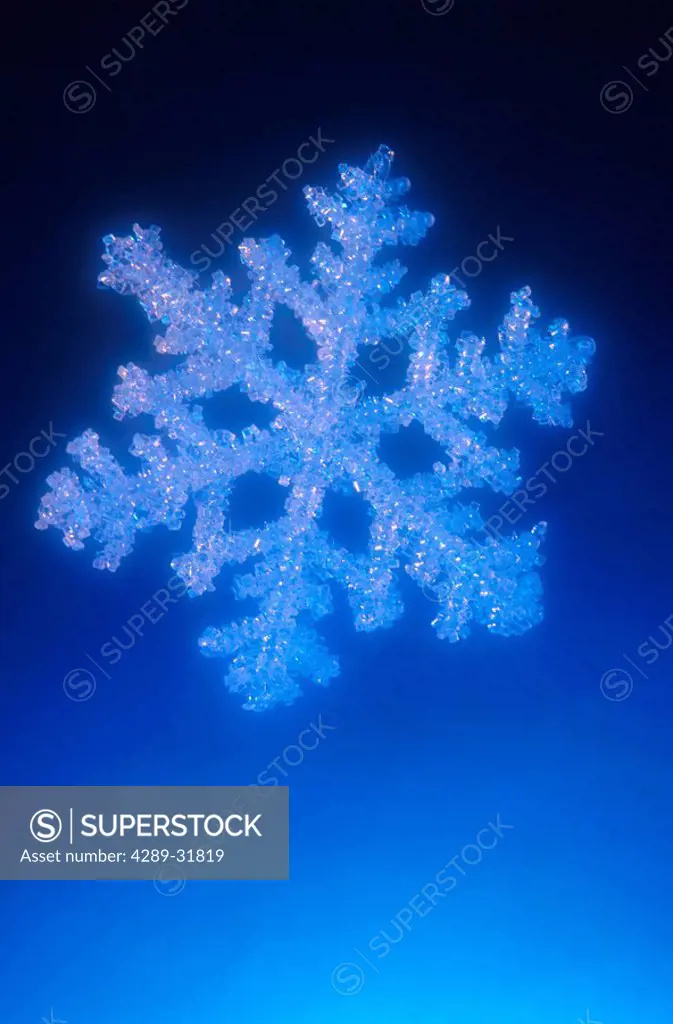 Close_up Detail of Single Snowflake