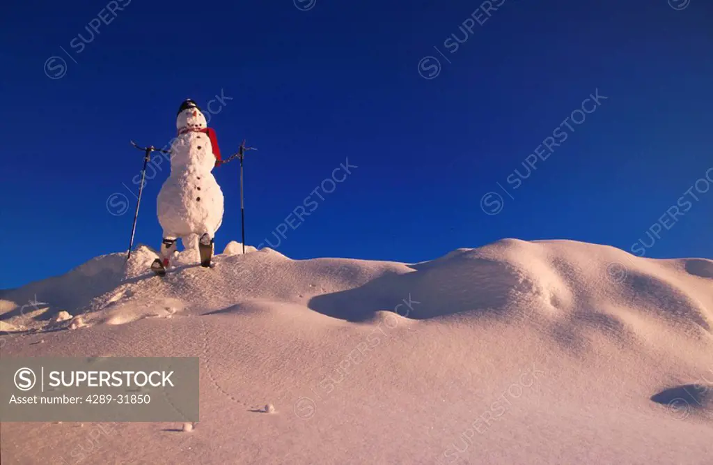 Snowman w/ Skis Chugach Mountains SC Alaska Winter