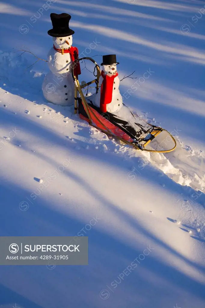 Large & small snowman ride on dog sled in deep snow in afternoon Interior Fairbanks Alaska winter