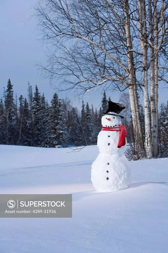 Snowman in snowy meadow w/birch & spruce forest in background Alaska Winter