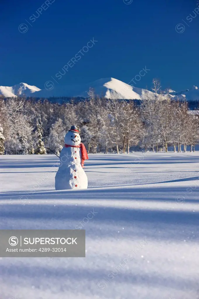 Snowman with red scarf and black top hat standing in front of snow covered meadow, winter