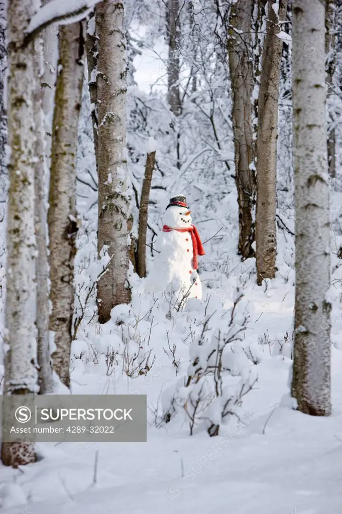 Snowman with red scarf and black top hat standing in a snow covered Birch forest, winter, Anchorage, Alaska