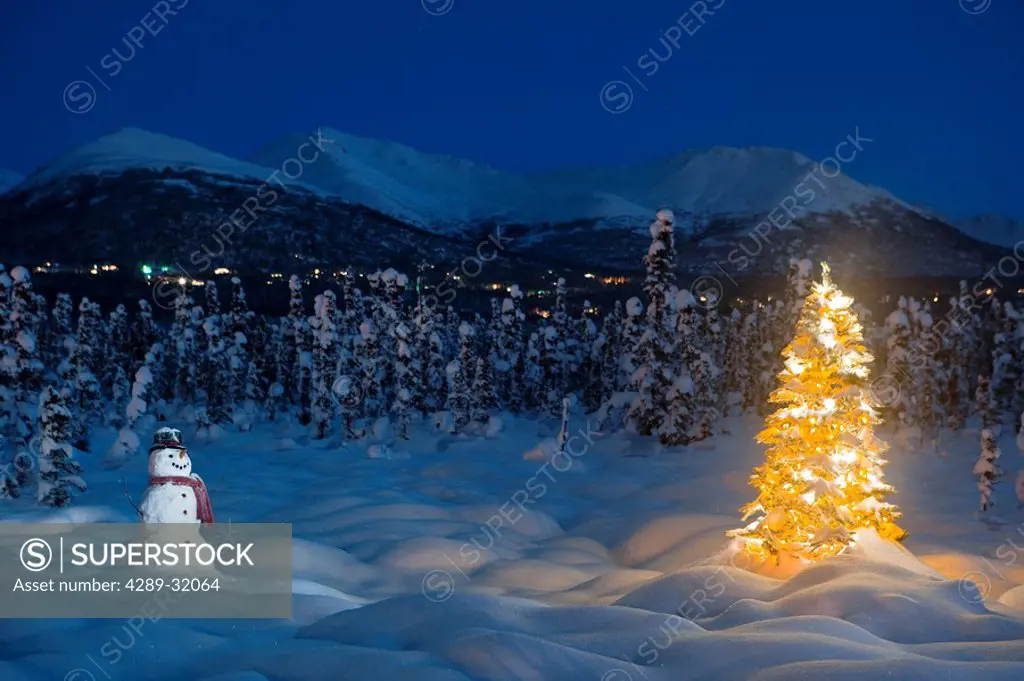 Christmas tree standing on snow covered tundra at twilight, spruce forest and Chugach Mountains in the background, winter, Anchorage, Alaska