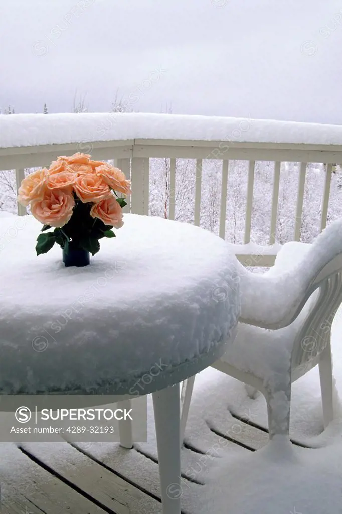 Bouquet of Orange Roses on Snowcovered Patio Furniture