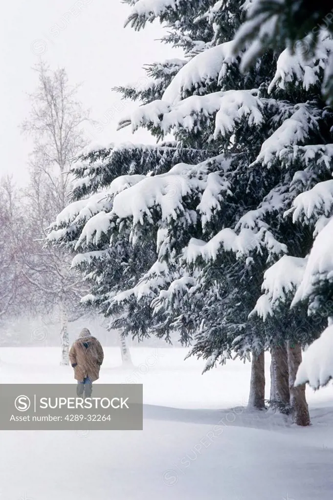 Person Walking in Winter Snowstorm AK