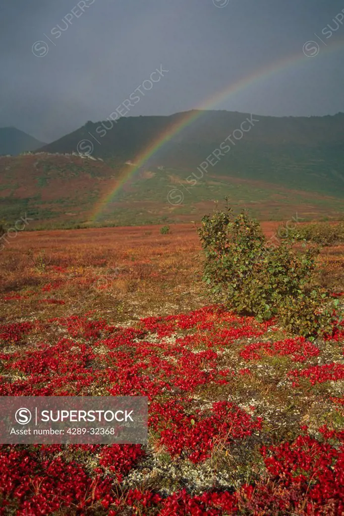 Rainbow Over Kobuk River Valley NPR AR Alaska Fall Brooks Range