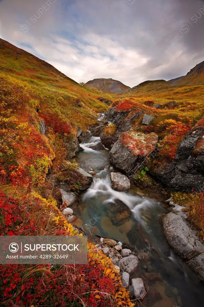 Small stream through the fall colored tundra in Hatcher Pass, Southcentral, Alaska