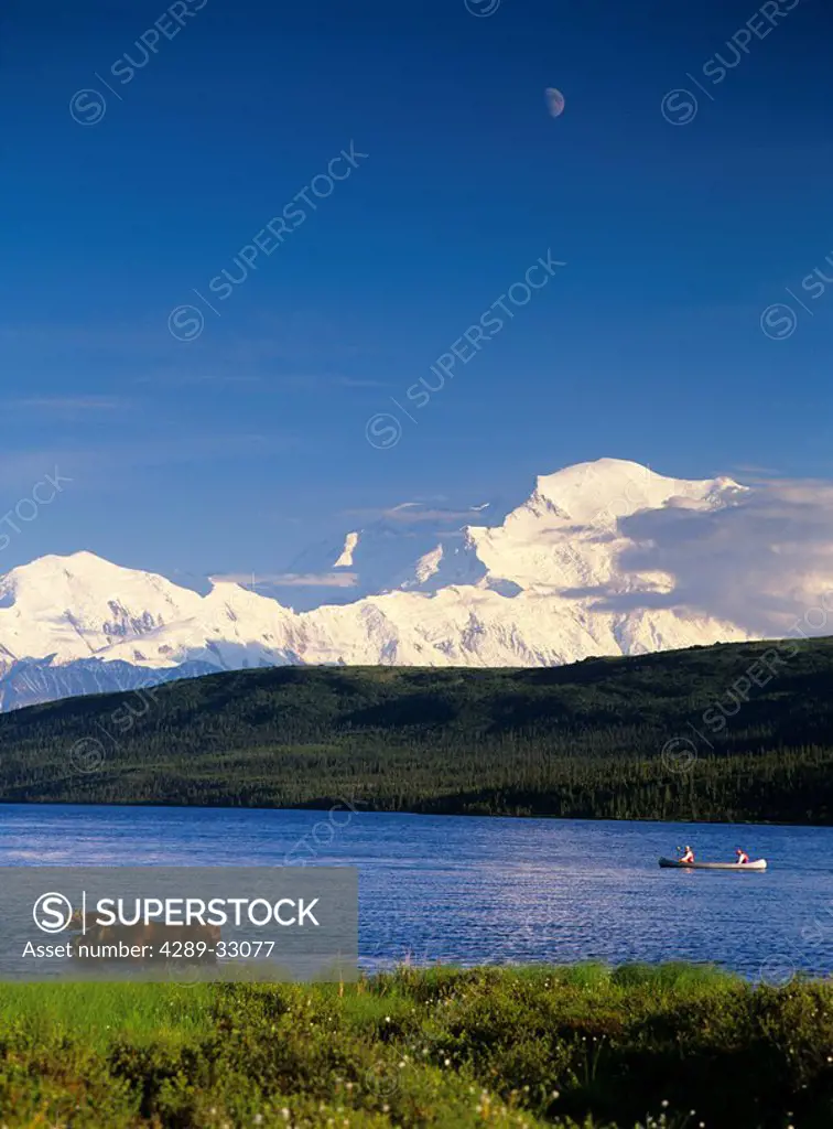 People Canoeing on Wonder Lake w/Moose Feeding AK IN Denali NP Summer Mt McKinley