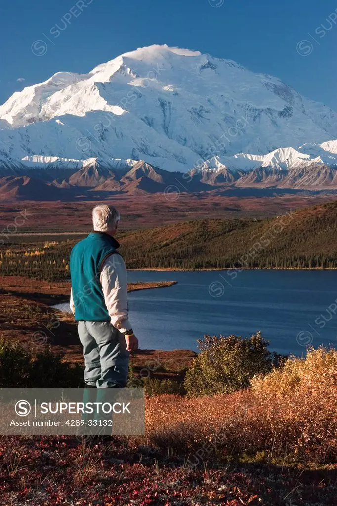 Mature male hiker views Mt. McKinley and the Alaska Range with Wonder Lake in the foreground, Denali National Park, Interior Alaska, Fall