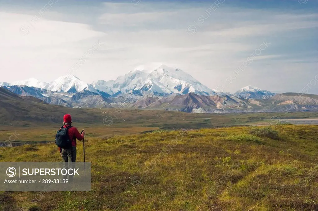 Female hiker views Mt. McKinley in Denali National Park, near Eielson Visitors Center, Interior Alaska, Fall