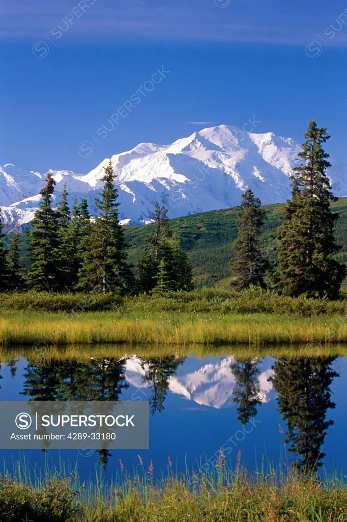 Mt McKinley reflecting in Nugget Pond Denali National Park Interior Alaska Summer