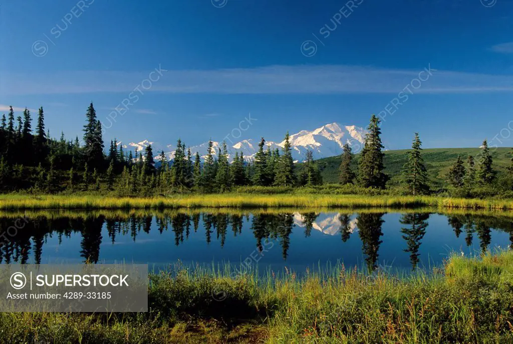 Mt.McKinley reflecting in Nugget Pond at Denali National Park in Alaska.