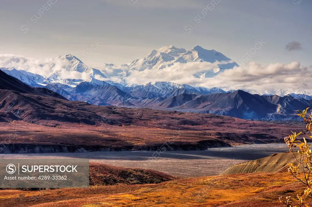 Scenic view of Mt. McKinley with colorful Autumn tundra in the foreground, Denali National Park, Alaska