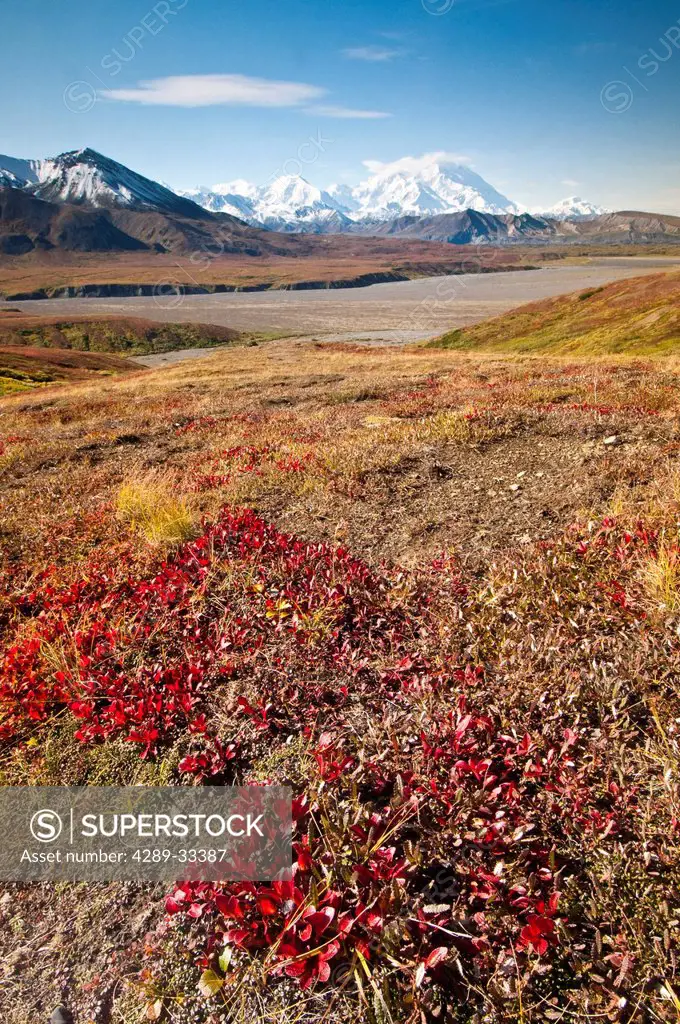 View of Mt. McKinley and colorful Autumn tundra from the Eielson Visitor Center in Denali National Park and Preserve, Interior Alaska, Fall