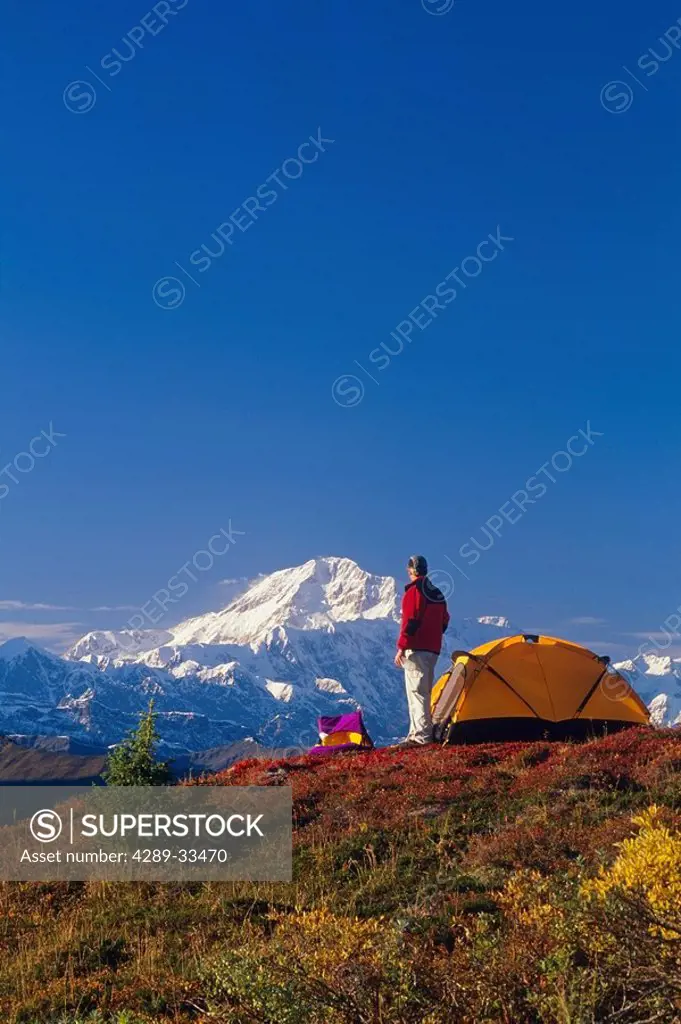 Man Camping & Viewing Mt Mckinley Near Pond IN Alaska