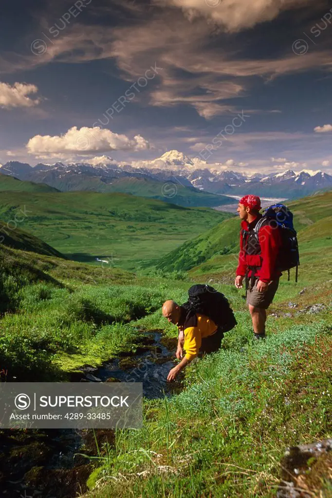 Hikers on Tundra in Denali State Park SC Alaska Summer w/Mt McKinley background