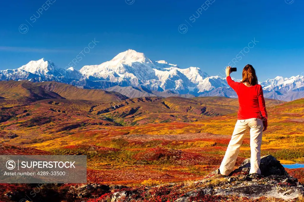 A woman hiking in Peters Hills stops to take a picture of Mt. McKinley with her cell phone, Denali State Park, Southcentral Alaska, Fall/n