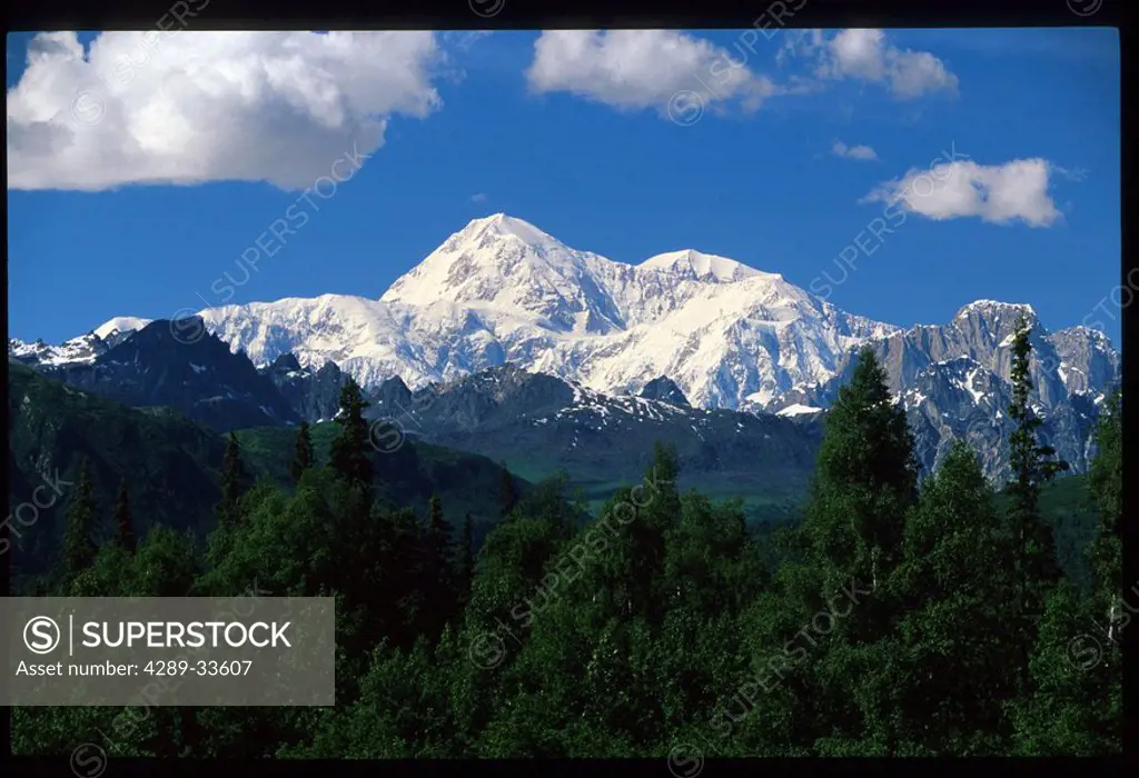 Mt McKinley Denali National Park Interior Alaska summer scenic