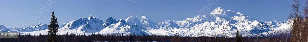 Panoramic view of afternoon light over Mt. McKinley and the Alaska range, Denali State Park, Southcentral Alaska, Winter
