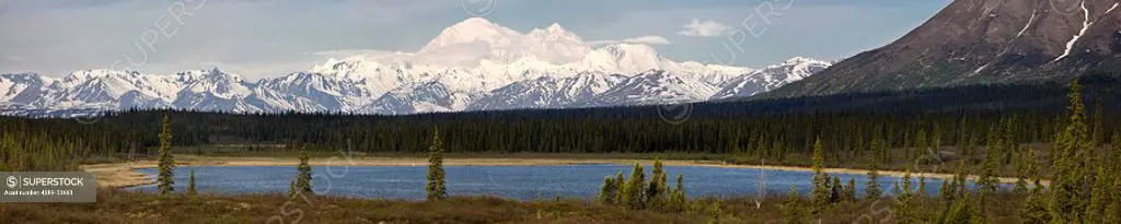 Scenic panorama of the Southside of Mount McKinley with pond and Trumpeter swans, Southcentral Alaska