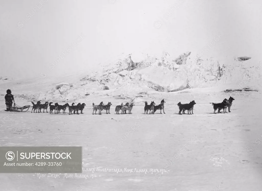 Historical image of Leonard Seppala and his Siberian Husky sled dog team winter Nome WE Alaska