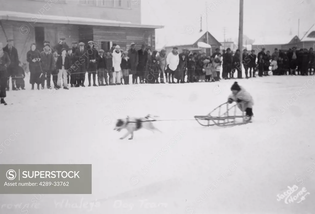Historical image of a child riding a sled being pulled by one dog while a crowd watchs winter Nome WE Alaska
