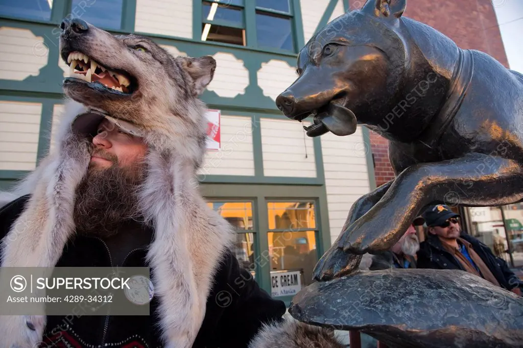 Man wearing a wolf hat stands next to a bronze statue of a sled dog in downtown Anchorage during Fur Rendezvous, Southcentral Alaska, Winter