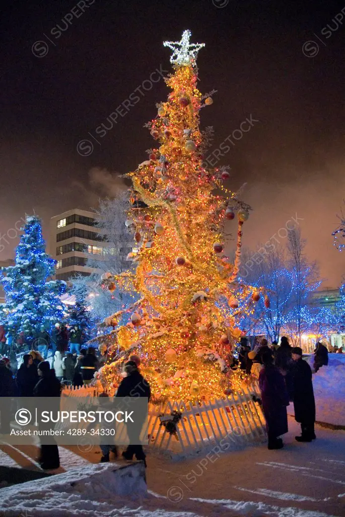 Nighttime view of a lit Christmas tree in the Anchorage Town Square with people downtown, Southcentral Alaska, Winter