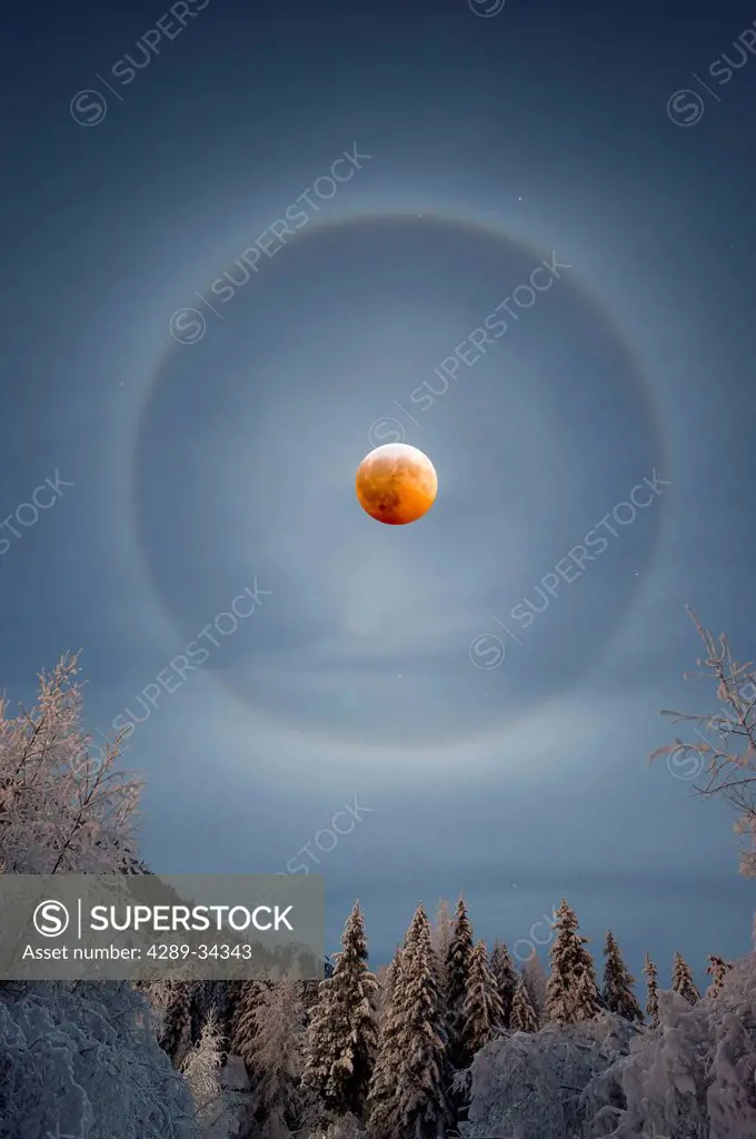 View of a perfect halo encompassing the moon during a rare winter lunar eclipse on December 20th, 2010, Girdwood, Southcentral Alaska, Composite
