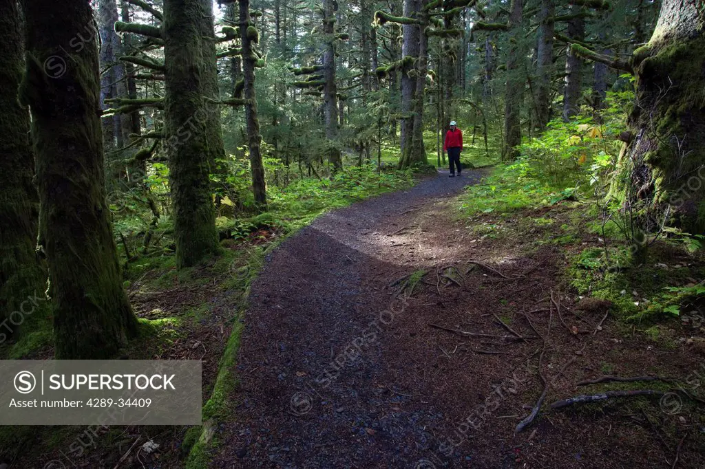 Woman hiking in late afternoon on a trail through Sitka Spruce trees around Lake Gertrude in Fort Abercrombie State Historical Park, Kodiak Island, So...