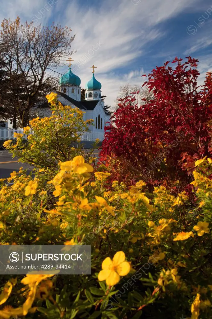 View of the Holy Resurrection Russian Orthodox Cathedral with colorful Fall foliage in the foreground, Kodiak Island, Soutwest Alaka, Fall