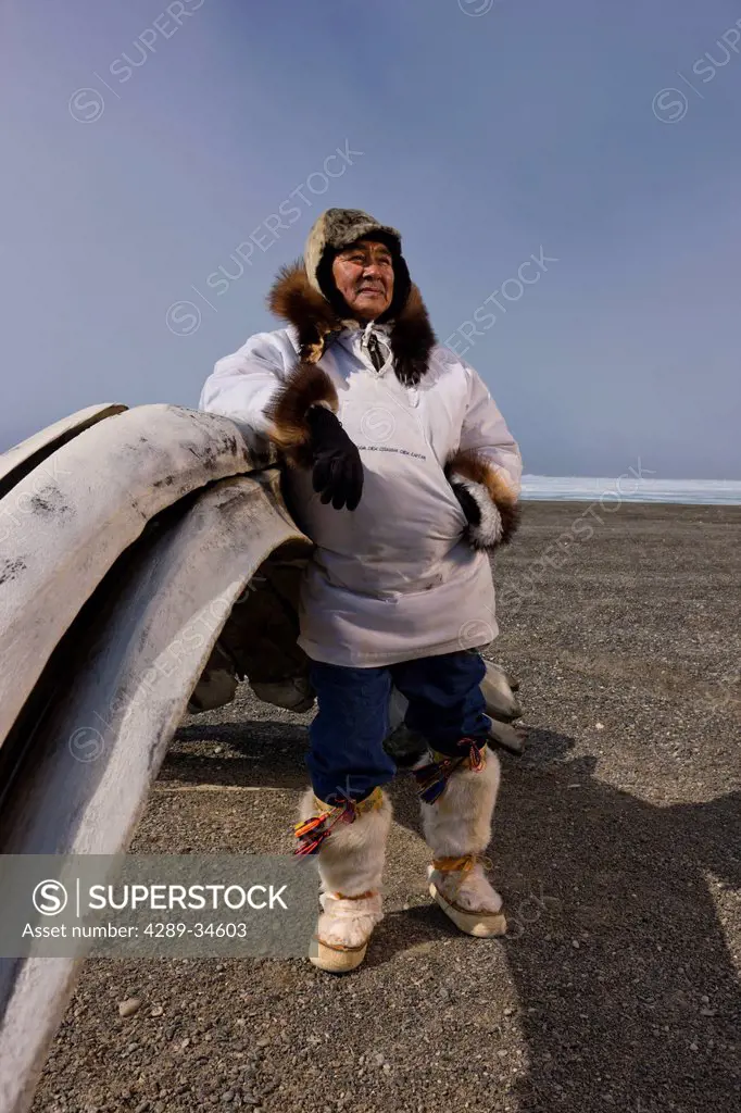 Male Inupiaq Eskimo hunter standing behind a Bowhead whalebone along the Chukchi Sea wearing his Eskimo parka Atigi, seal skin hat and wolf skin Makla...