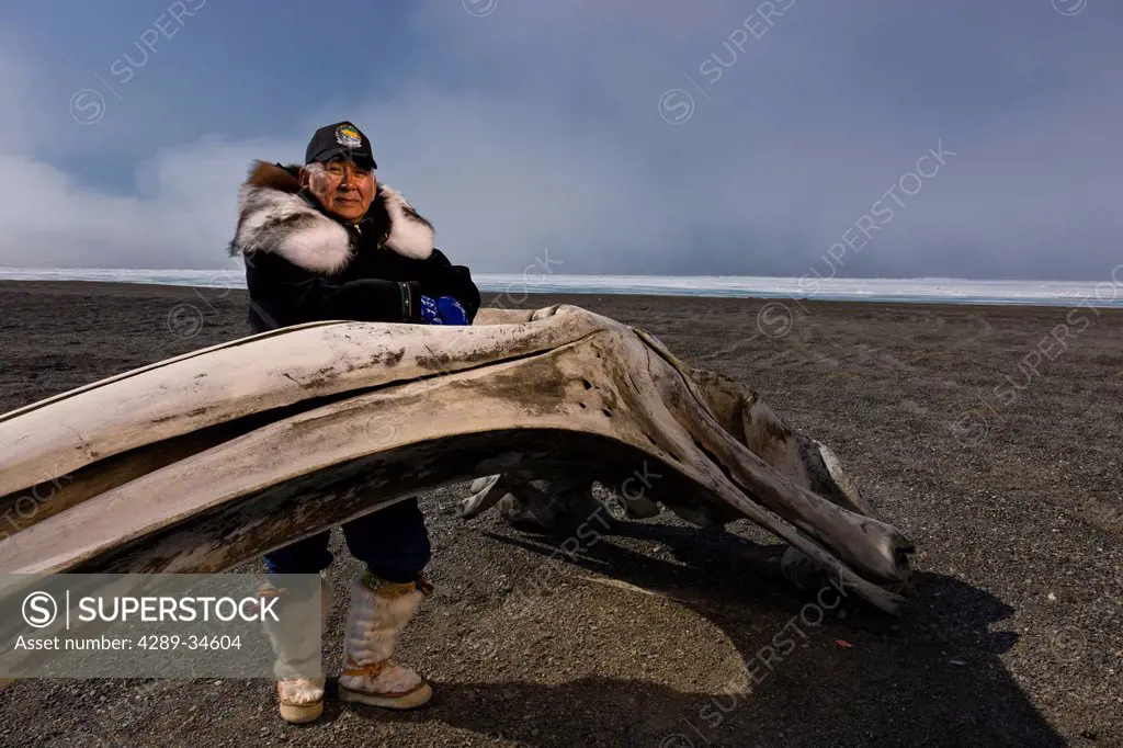 Portrait of a male Inupiaq Eskimo hunter standing behind a Bowhead whalebone along the Chukchi Sea wearing his Eskimo parka Atigi, seal skin hat and w...