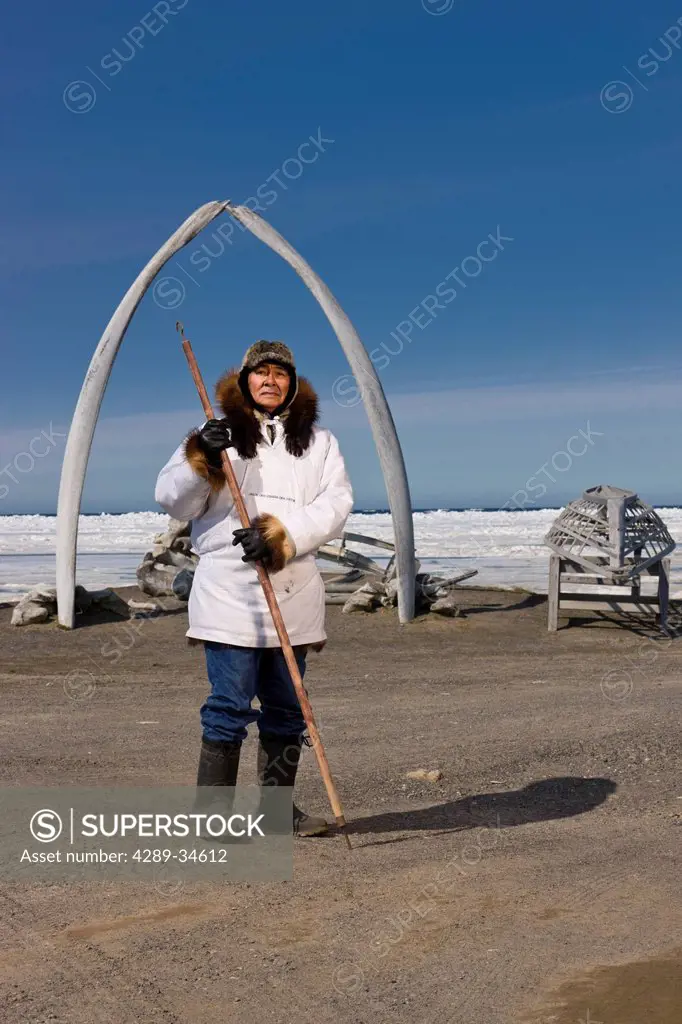 Male Inupiaq Eskimo hunter wearing his Eskimo parka Atigi, seal skin hat and wolf skin Maklak´s with soles made from bearded seal skin Ugruk standing ...