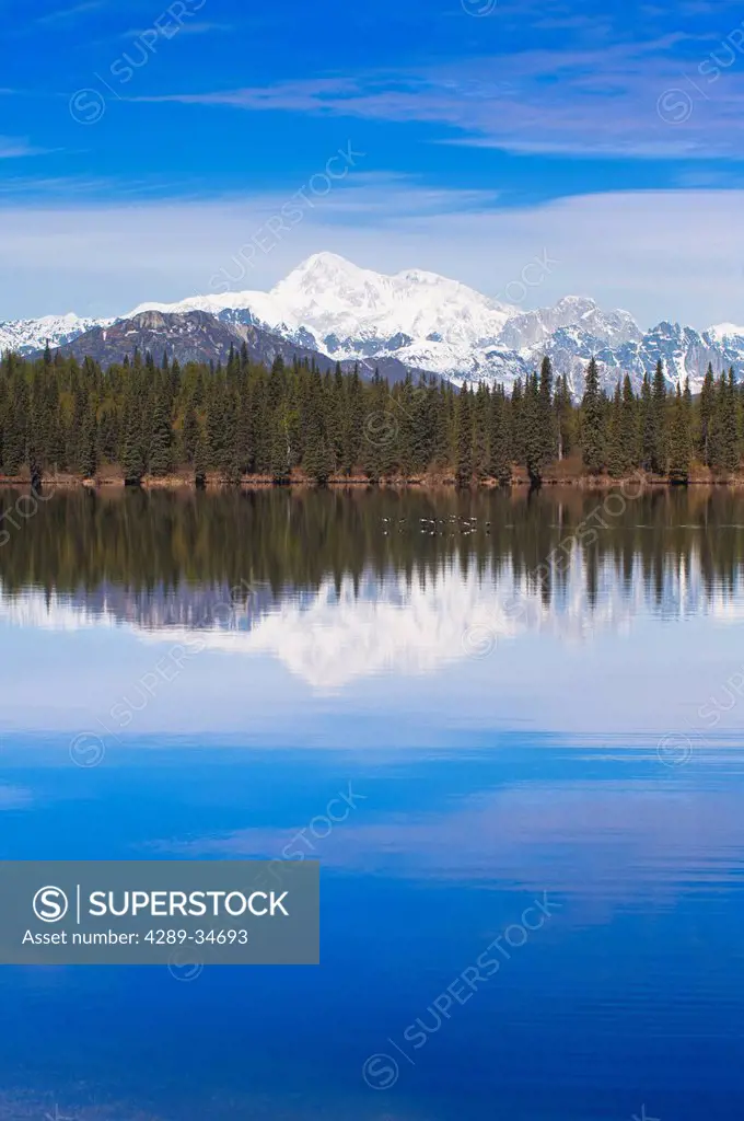 Scenic view of the south side of Mt. McKinley and Alaska Range with Byers Lake in the foreground, Southcentral Alaska, Spring