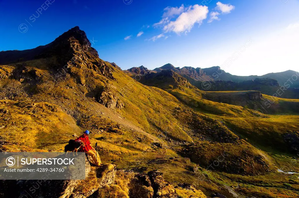 A man sitting on a rock while hiking with his dog near Hatcher Pass in the Talkeetna Mountains with Bald Ridge in the background, Southcentral Alaska,...