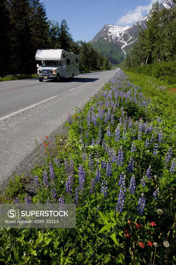 A motorhome drives down a lupine lined Richardson Highway leaving Valdez, Southcentral Alaska, Summer